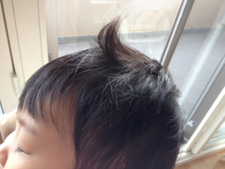 image-20130130094306.png