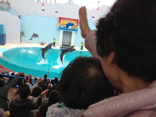 image-20130327155948.png
