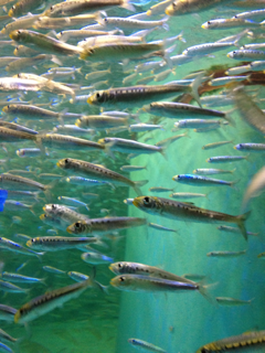 image-20130327160051.png