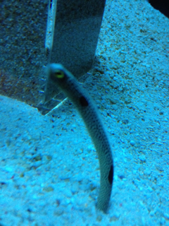 image-20130327160122.png